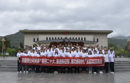 市國資公司黨委開展主題黨日活動